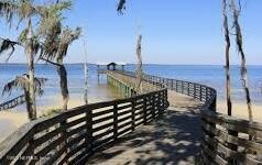 742 Ginger Mill Drive St. Johns, FL 32259 - Photo 31 of 32 a view of stairs and with trees in the background