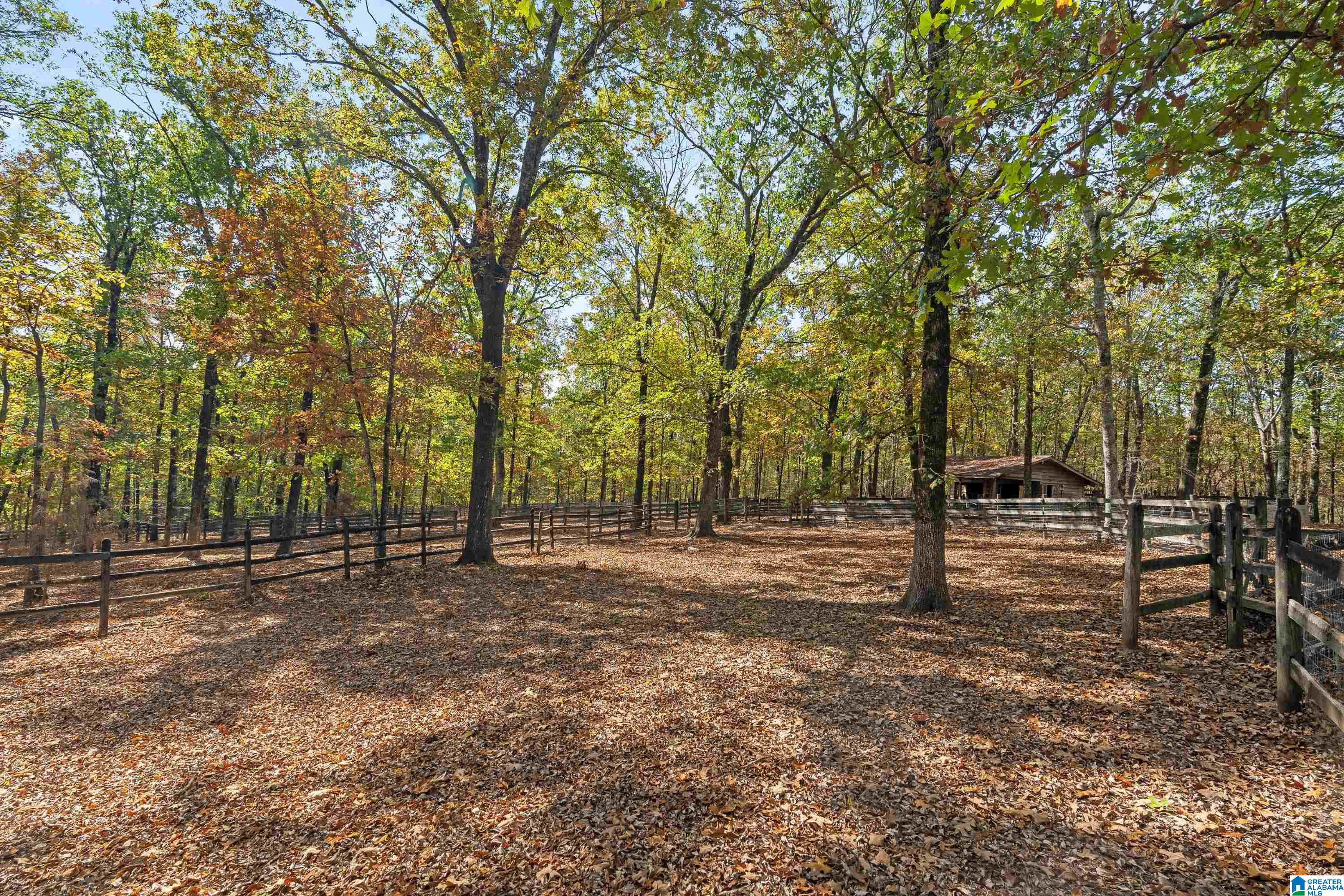 356 Sunset Ridge Bessemer, AL 35022 - Photo 67 of 75