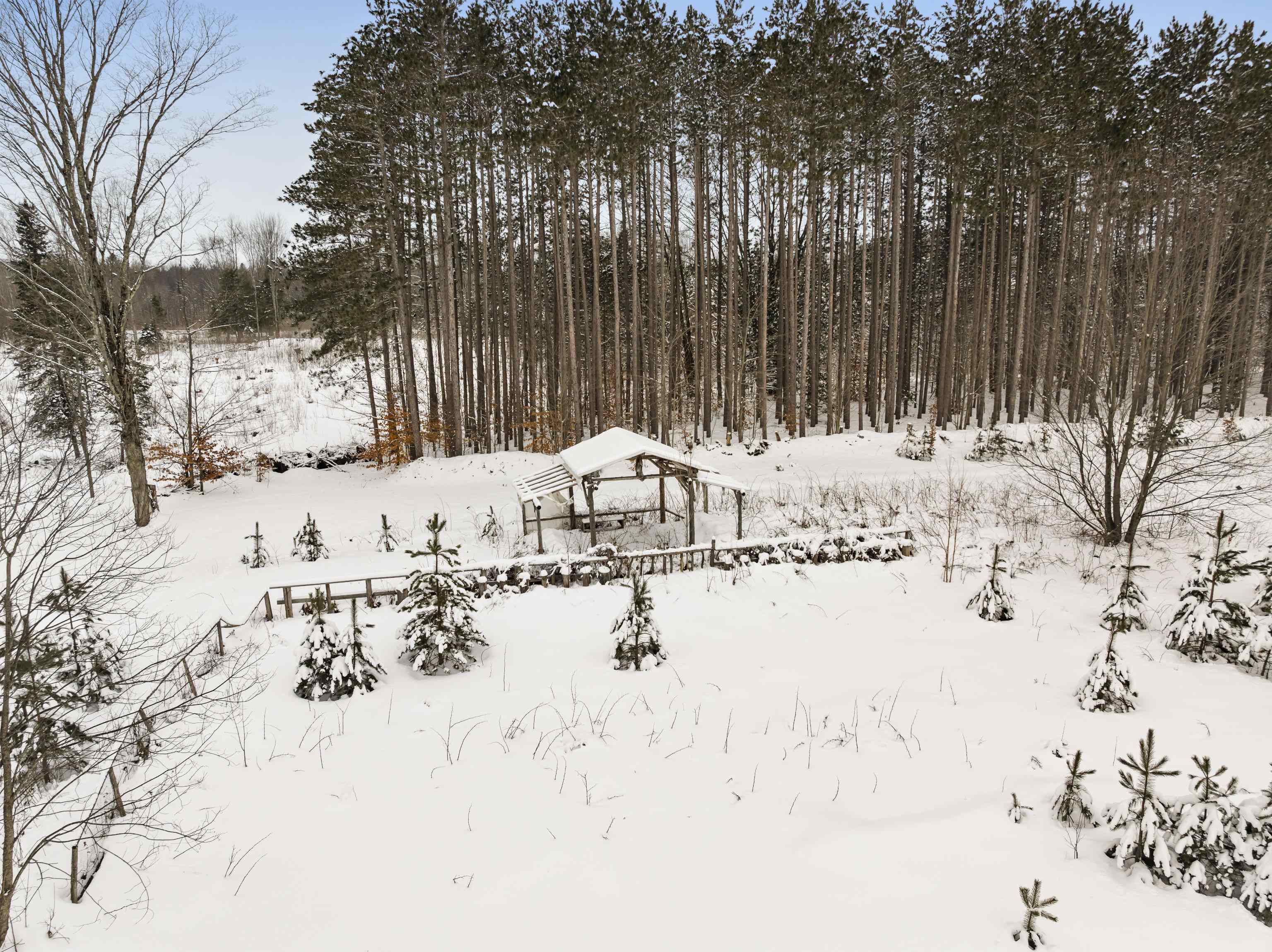 0 Landis Road, Unit LANDIS Thompsonville, MI 49683 - Photo 7 of 9