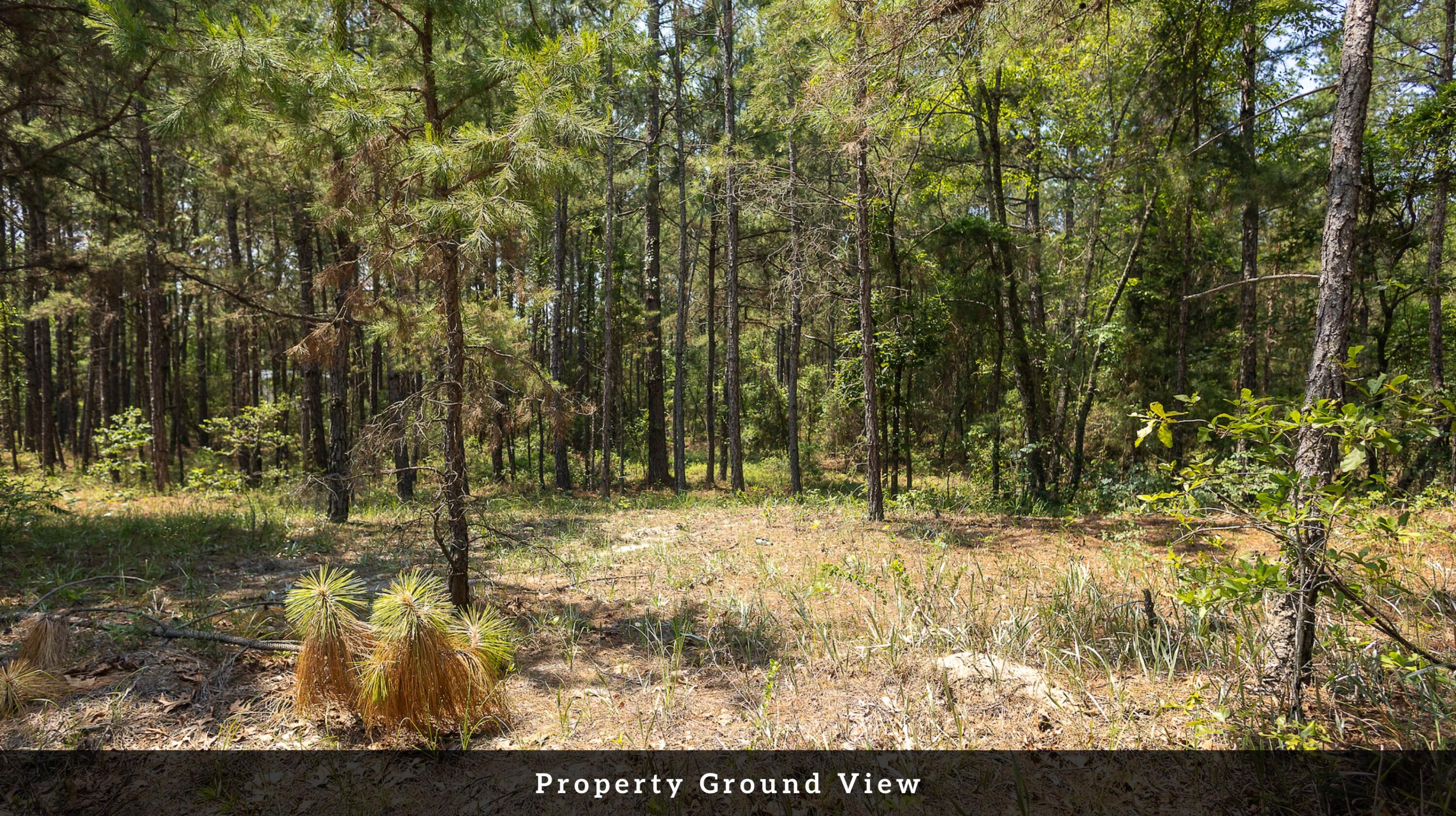 1 Broken Arrow Road Eutawville, SC 29048 - Photo 13 of 32 13