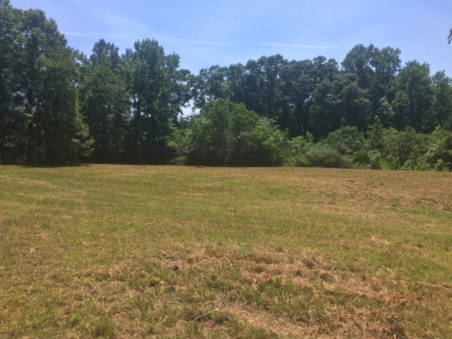 ... Timberline Drive Summit, MS 39666 - Photo 1 of 1 Main View