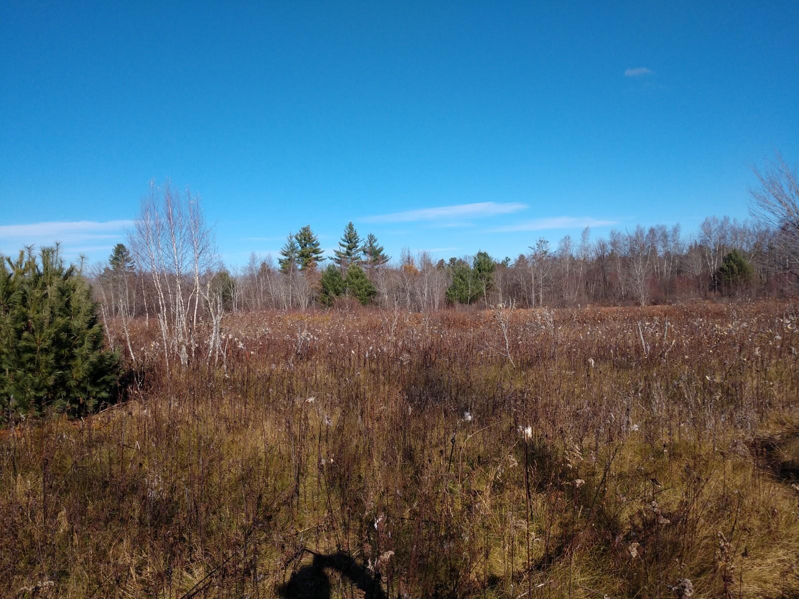 Lot 7 Emery Road Medford, ME 04463 - Photo 13 of 16 IMG_20191102_095910641