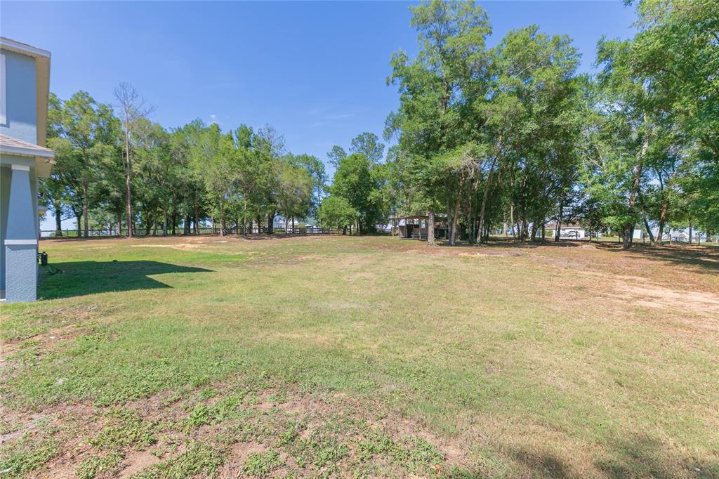 35369 Ruffing Road Dade City, FL 33523 - Photo 42 of 63 a view of a field with trees in the background
