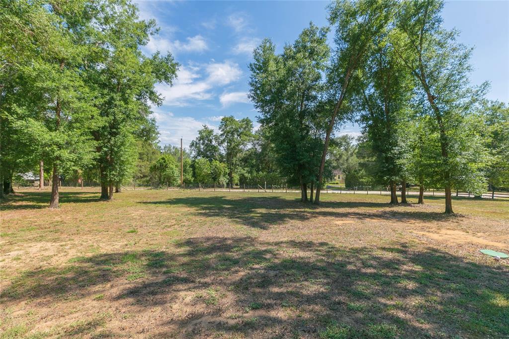 35369 Ruffing Road Dade City, FL 33523 - Photo 43 of 63 a backyard of a house with lots of green space