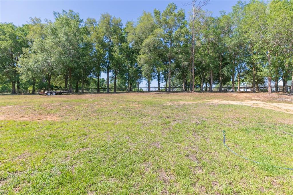 35369 Ruffing Road Dade City, FL 33523 - Photo 44 of 63 a view of a green field with trees in the background