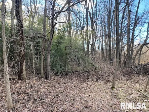 $244,400 | 0 Billet Ln Street, St. Francisville, IL 62460