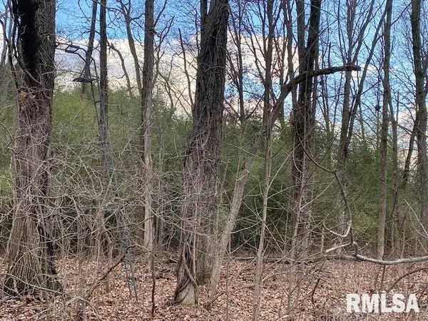 $244,400 | 0 Billet Ln Street, St. Francisville, IL 62460