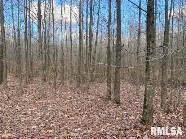 $244,400 | 0 Billet Ln Street, St. Francisville, IL 62460
