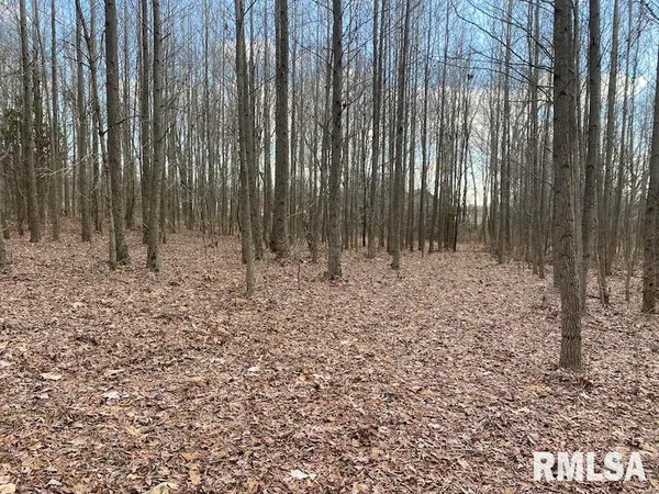 $244,400 | 0 Billet Ln Street, St. Francisville, IL 62460