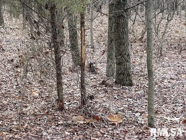 $244,400 | 0 Billet Ln Street, St. Francisville, IL 62460