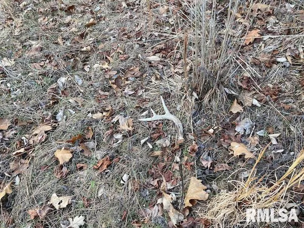 $244,400 | 0 Billet Ln Street, St. Francisville, IL 62460