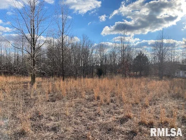 $244,400 | 0 Billet Ln Street, St. Francisville, IL 62460