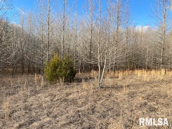 $244,400 | 0 Billet Ln Street, St. Francisville, IL 62460