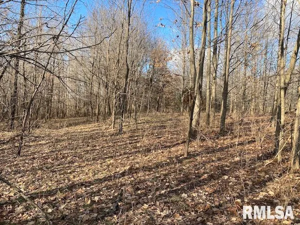 $244,400 | 0 Billet Ln Street, St. Francisville, IL 62460