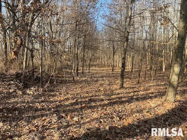 $244,400 | 0 Billet Ln Street, St. Francisville, IL 62460