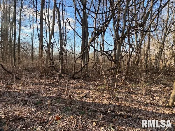 $244,400 | 0 Billet Ln Street, St. Francisville, IL 62460