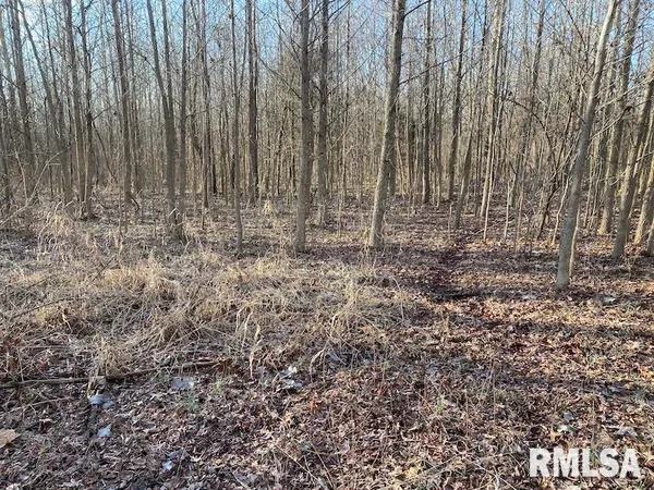 $244,400 | 0 Billet Ln Street, St. Francisville, IL 62460