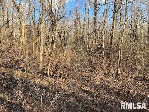 $244,400 | 0 Billet Ln Street, St. Francisville, IL 62460