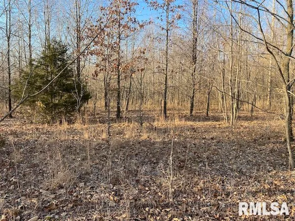 $244,400 | 0 Billet Ln Street, St. Francisville, IL 62460
