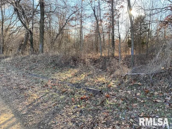 $244,400 | 0 Billet Ln Street, St. Francisville, IL 62460