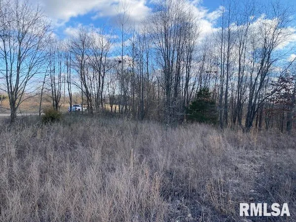 $244,400 | 0 Billet Ln Street, St. Francisville, IL 62460