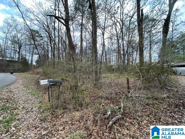 66 Shady Lane, Unit 7678 Ohatchee, AL 36271 - Photo 7 of 12