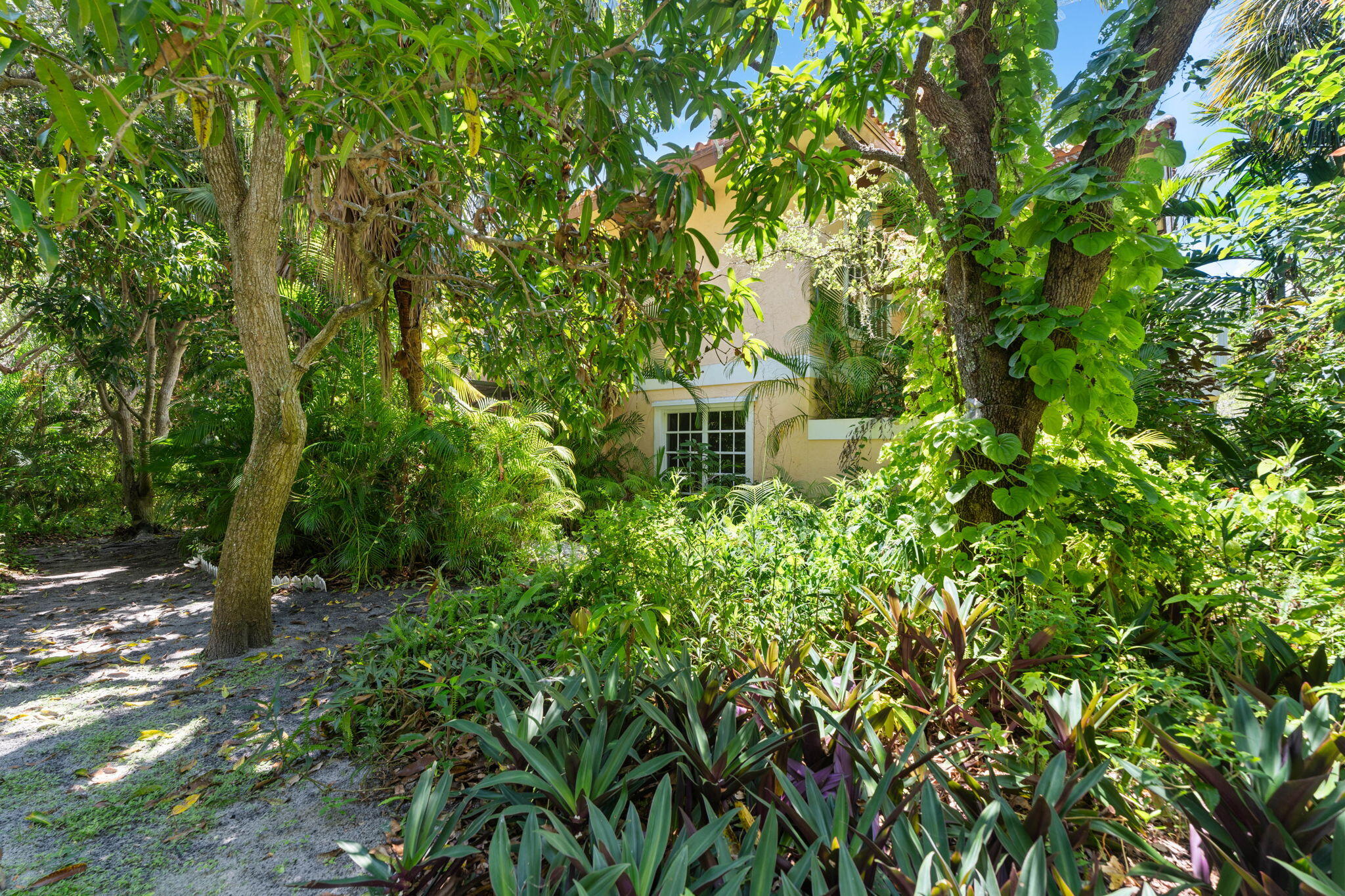 6 Castle Hill Way Sewall's Point, FL 34996 - Photo 27 of 31 a view of a yard