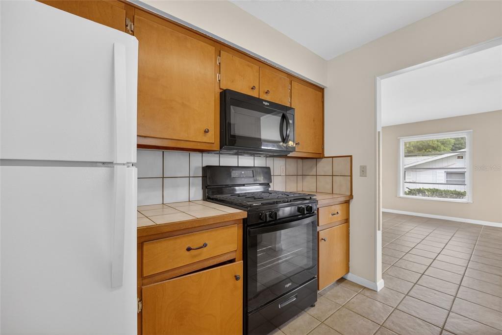16 Lake Ct Loop Ocala, FL 34472 - Photo 6 of 17