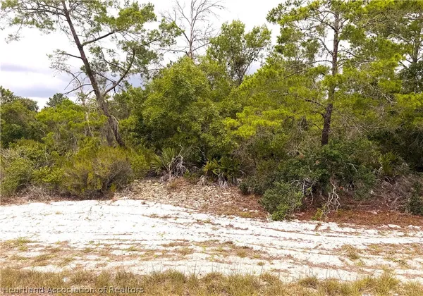 $18,599 | 209 Coolidge Avenue Northeast, Lake Placid, FL 33852