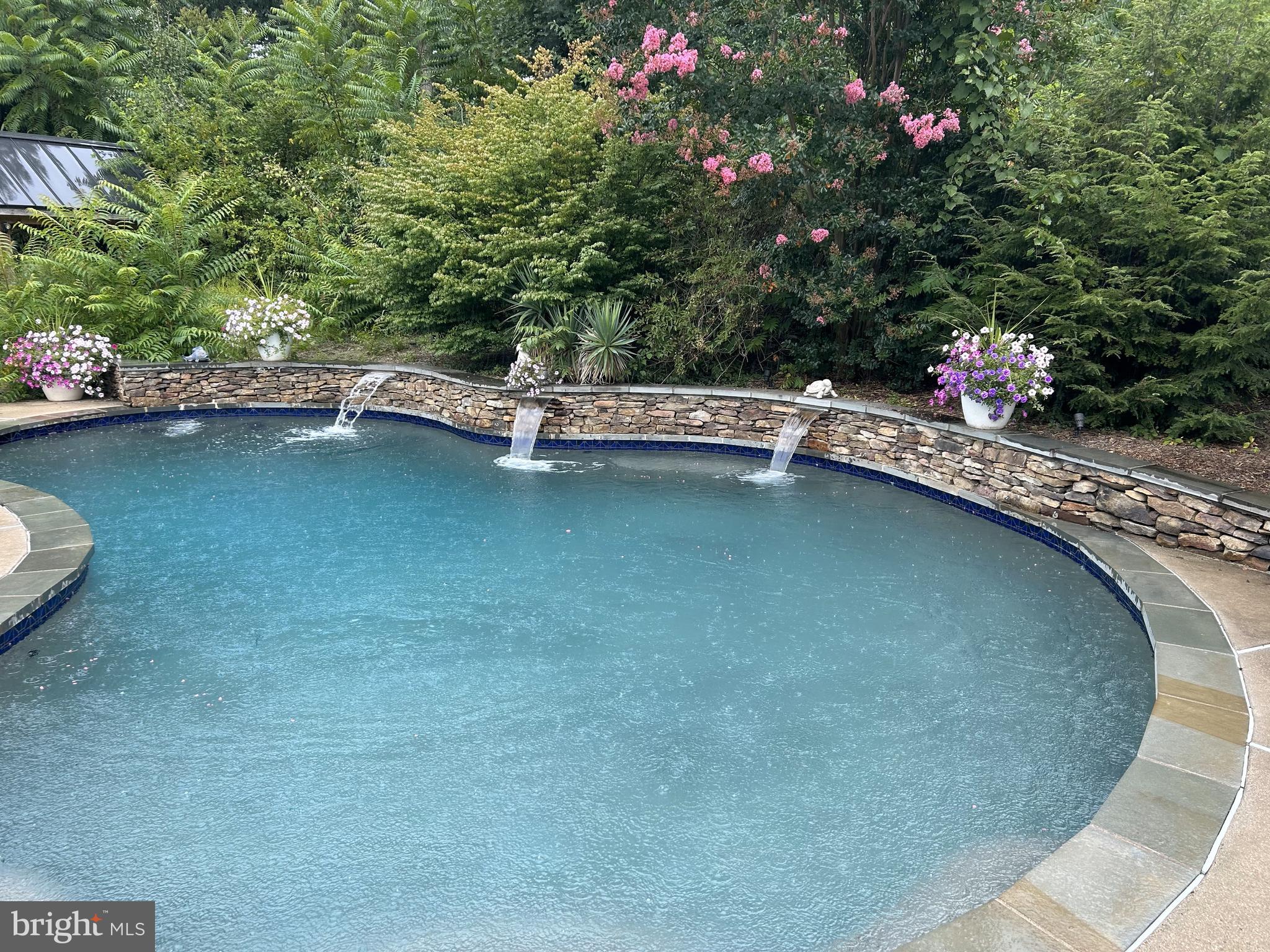 11516 Weller Road Monrovia, MD 21770 - Photo 2 of 56 Enjoy relaxing in your gorgeous salt water pool