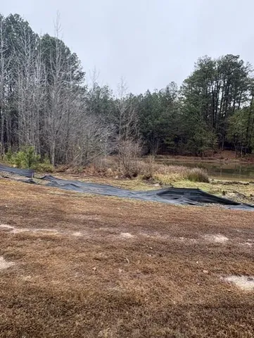 a view of a yard with large trees