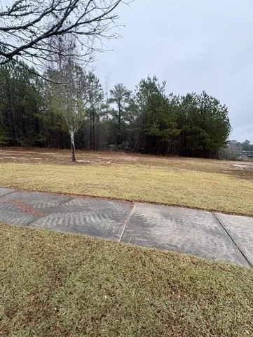 a view of a yard with a trees