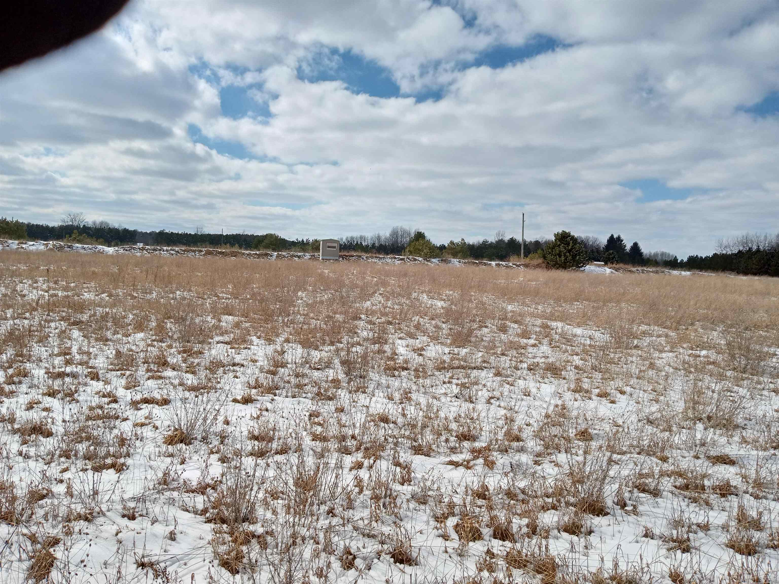 Tbd Roosevelt Road Remus, MI 49340 - Photo 4 of 27 1897397-3.JPG