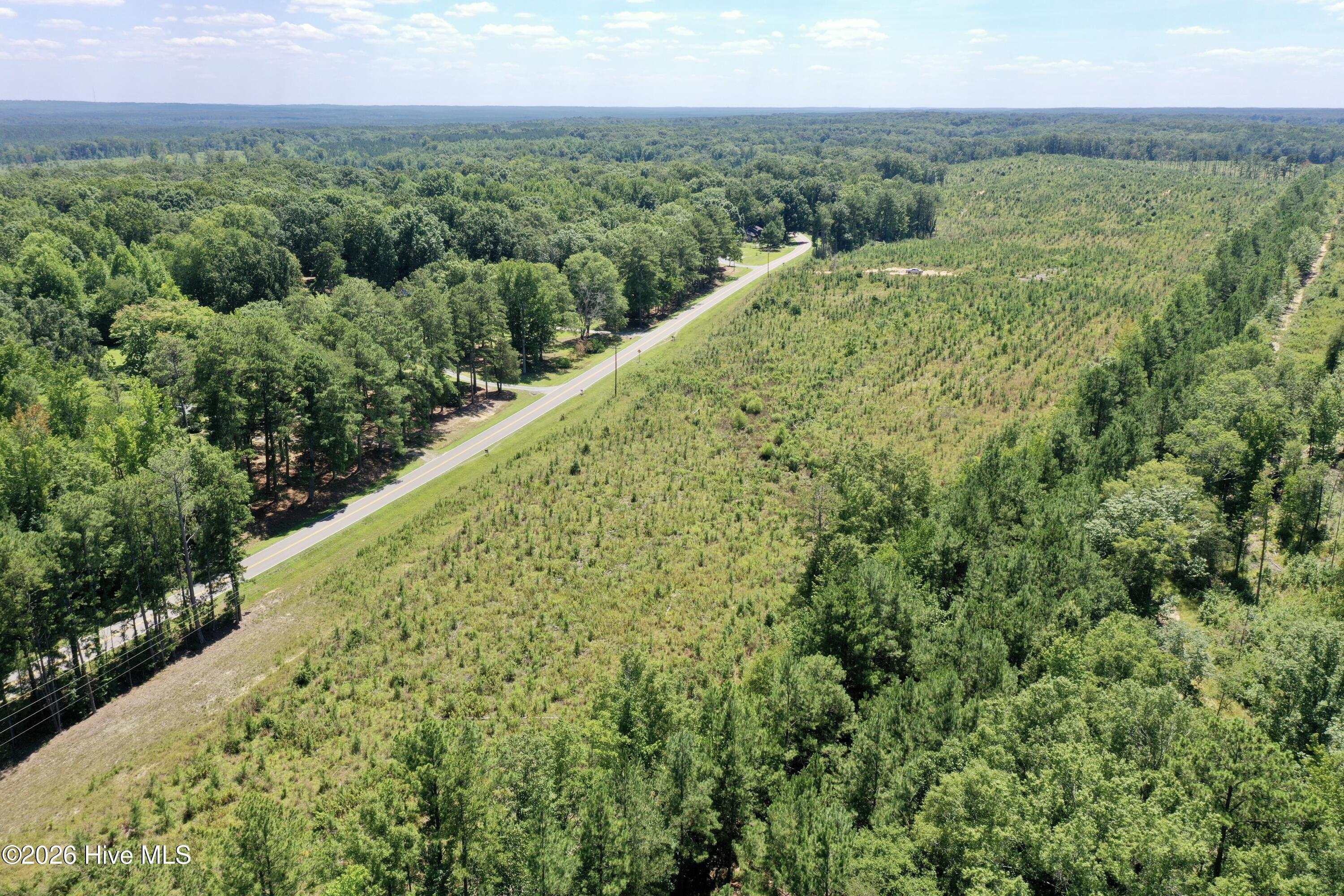 0 Putnam Glendon Road Carthage, NC 28327 - Photo 8 of 9 Gallery Image 8