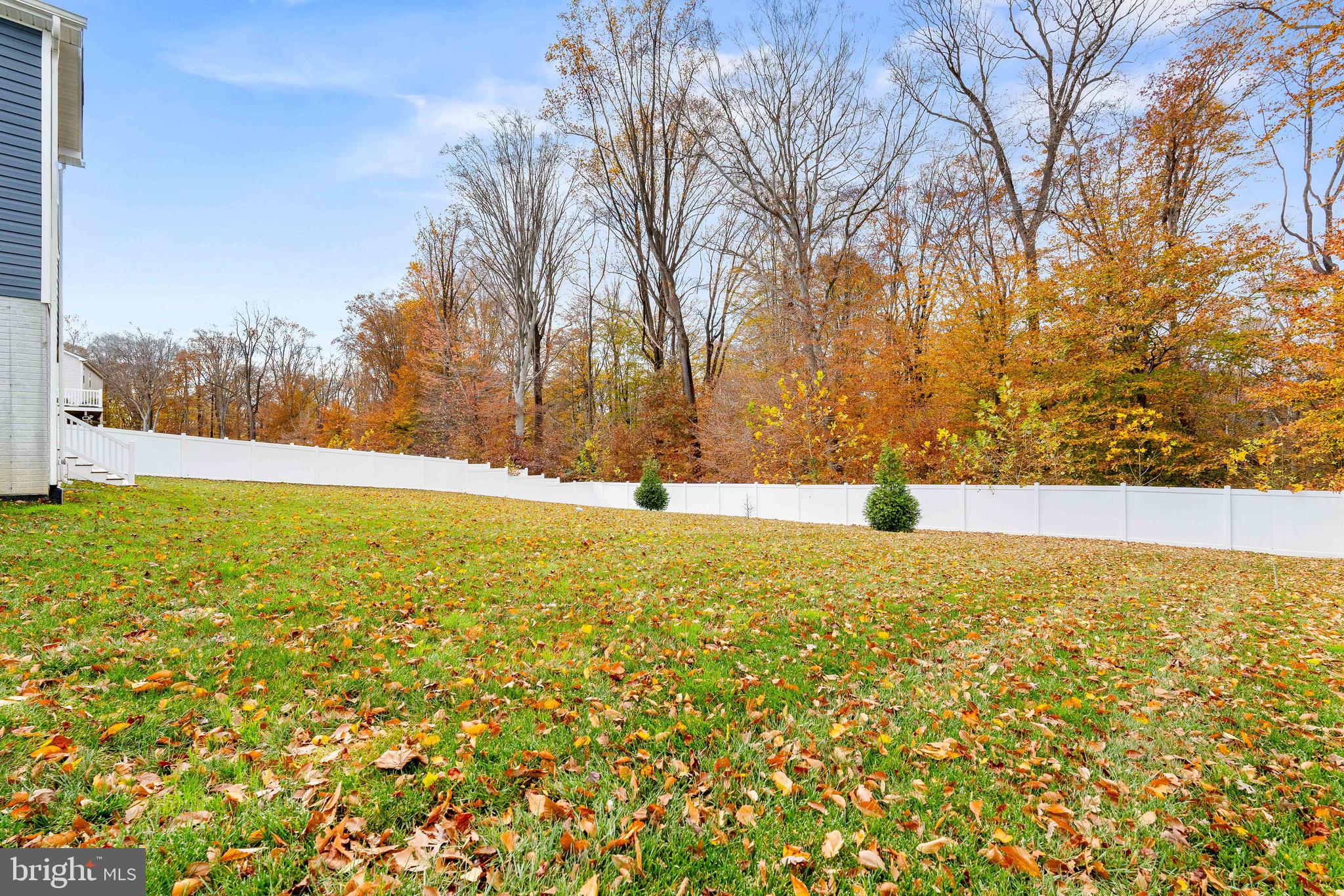 1268 Pimpernell Path Middletown, DE 19709 - Photo 38 of 51 a view of an outdoor space and a yard