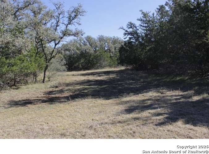 317 Swayze Road Utopia, TX 78884 - Photo 10 of 11