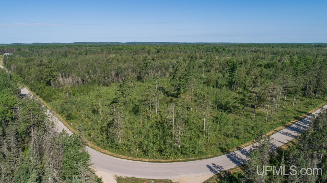 Tbd 80-acres 30th Road Rapid River, MI 49878 - Photo 7 of 17