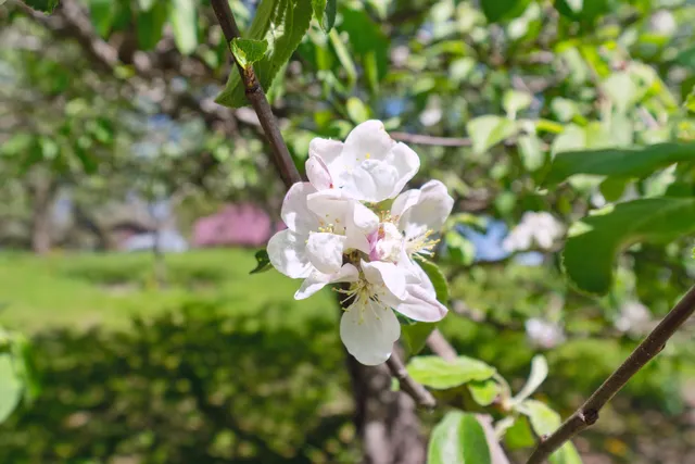 $609,000 | 6372 Wildlife Road, Addison, WI 53002