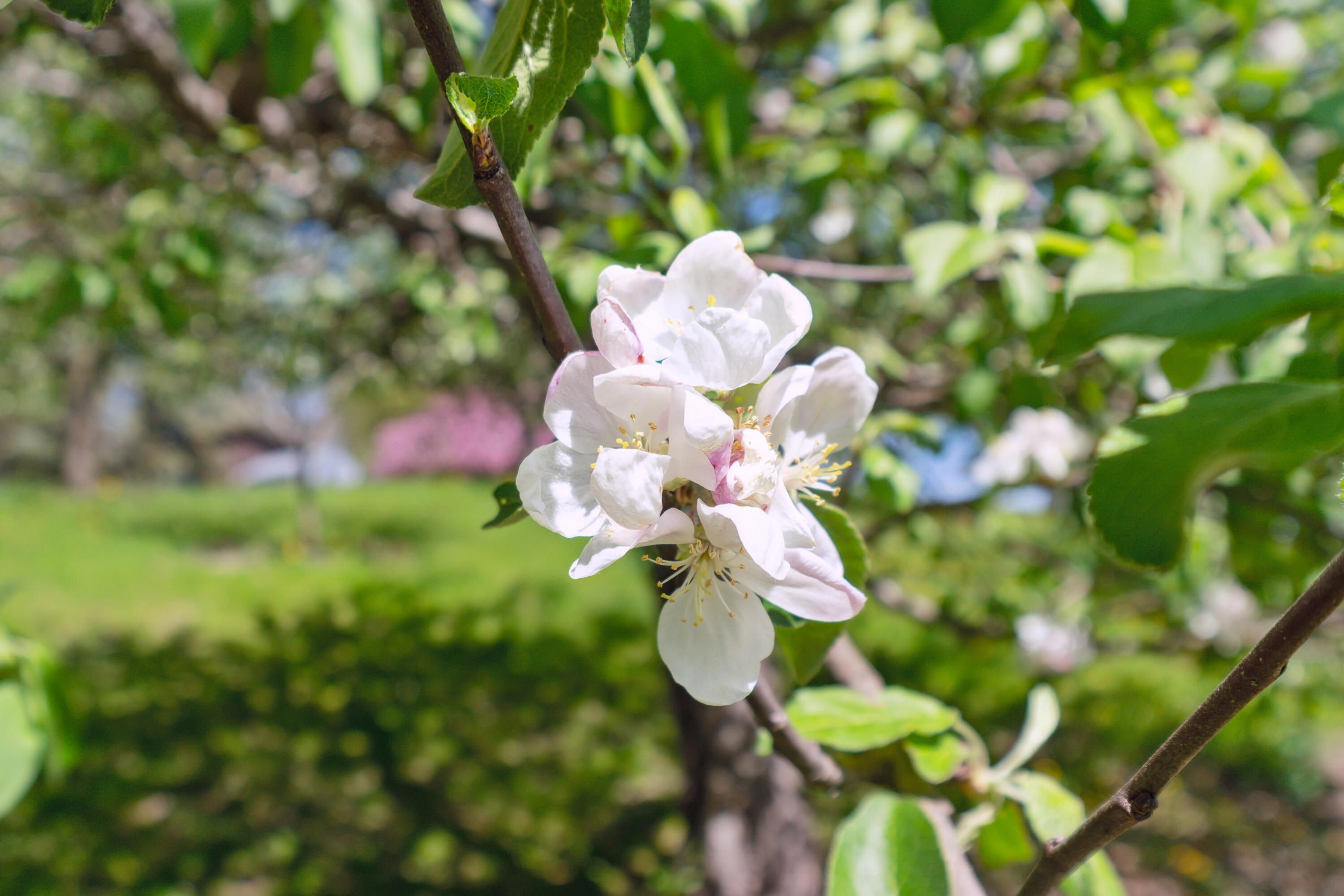6372 Wildlife Road Addison, WI 53002 - Photo 20 of 36 09-6372-Wildlife-Rd-Allenton-WI-53002-Wi