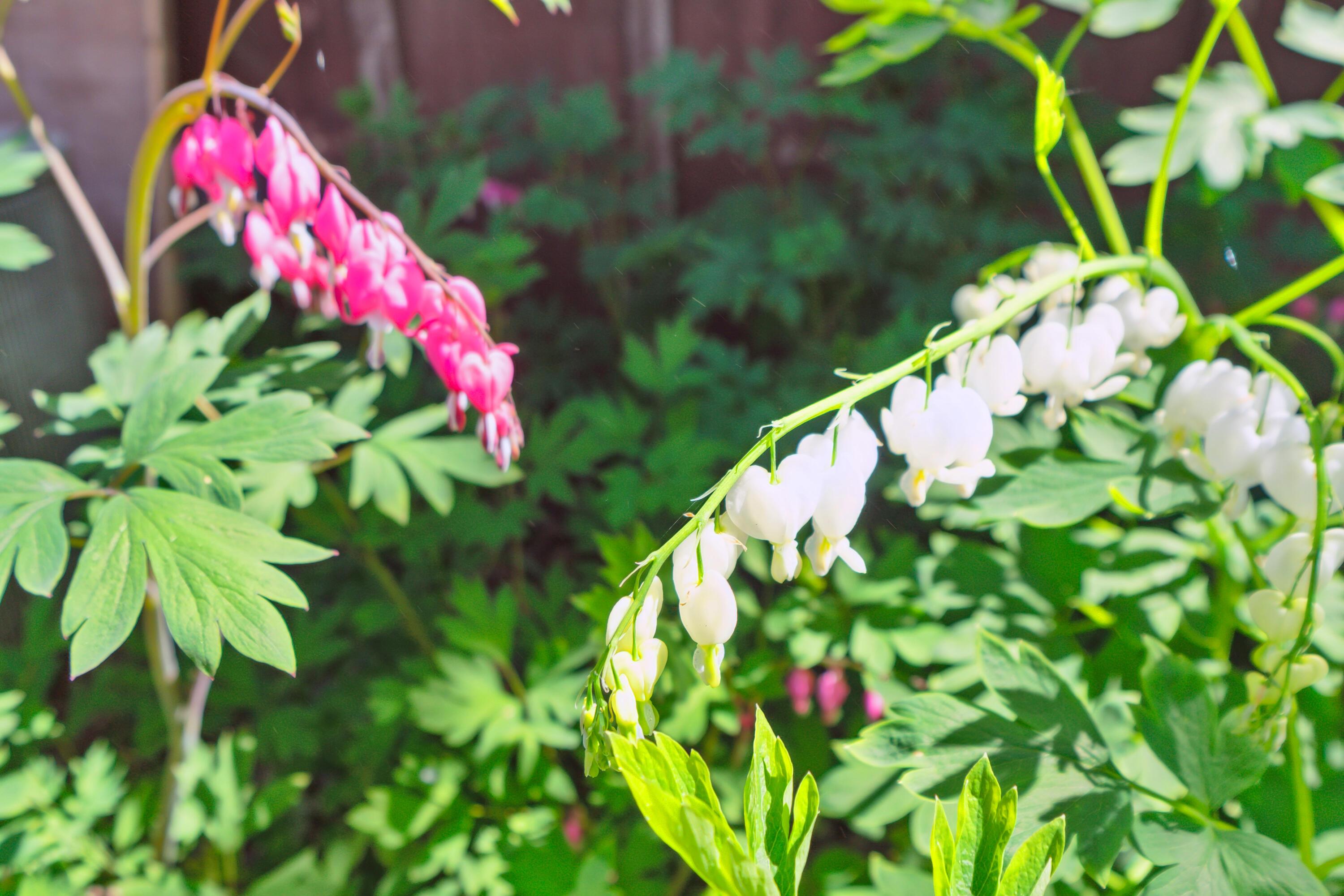 6372 Wildlife Road Addison, WI 53002 - Photo 23 of 36 12-6372-Wildlife-Rd-Allenton-WI-53002-Wi