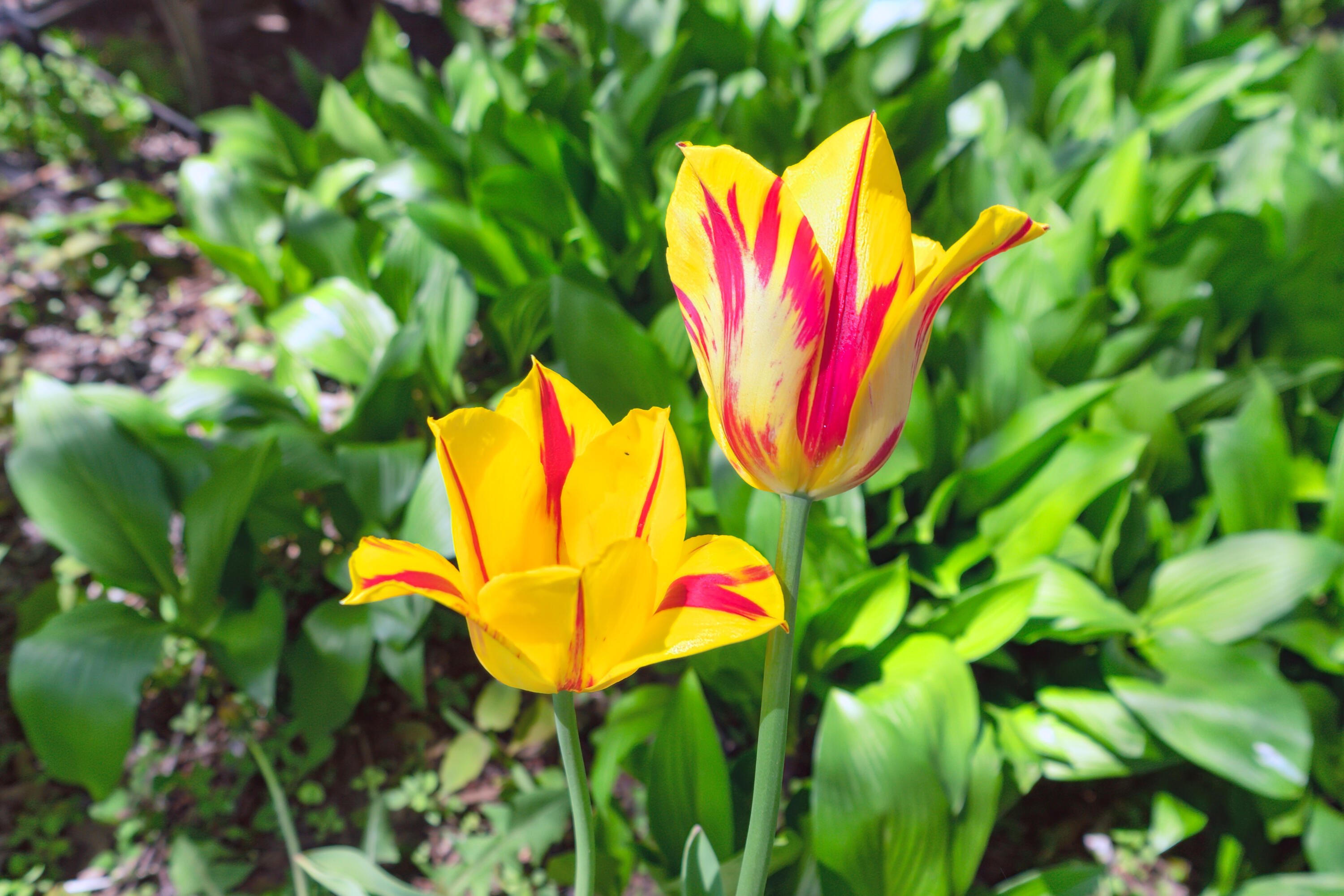 6372 Wildlife Road Addison, WI 53002 - Photo 24 of 36 13-6372-Wildlife-Rd-Allenton-WI-53002-Wi