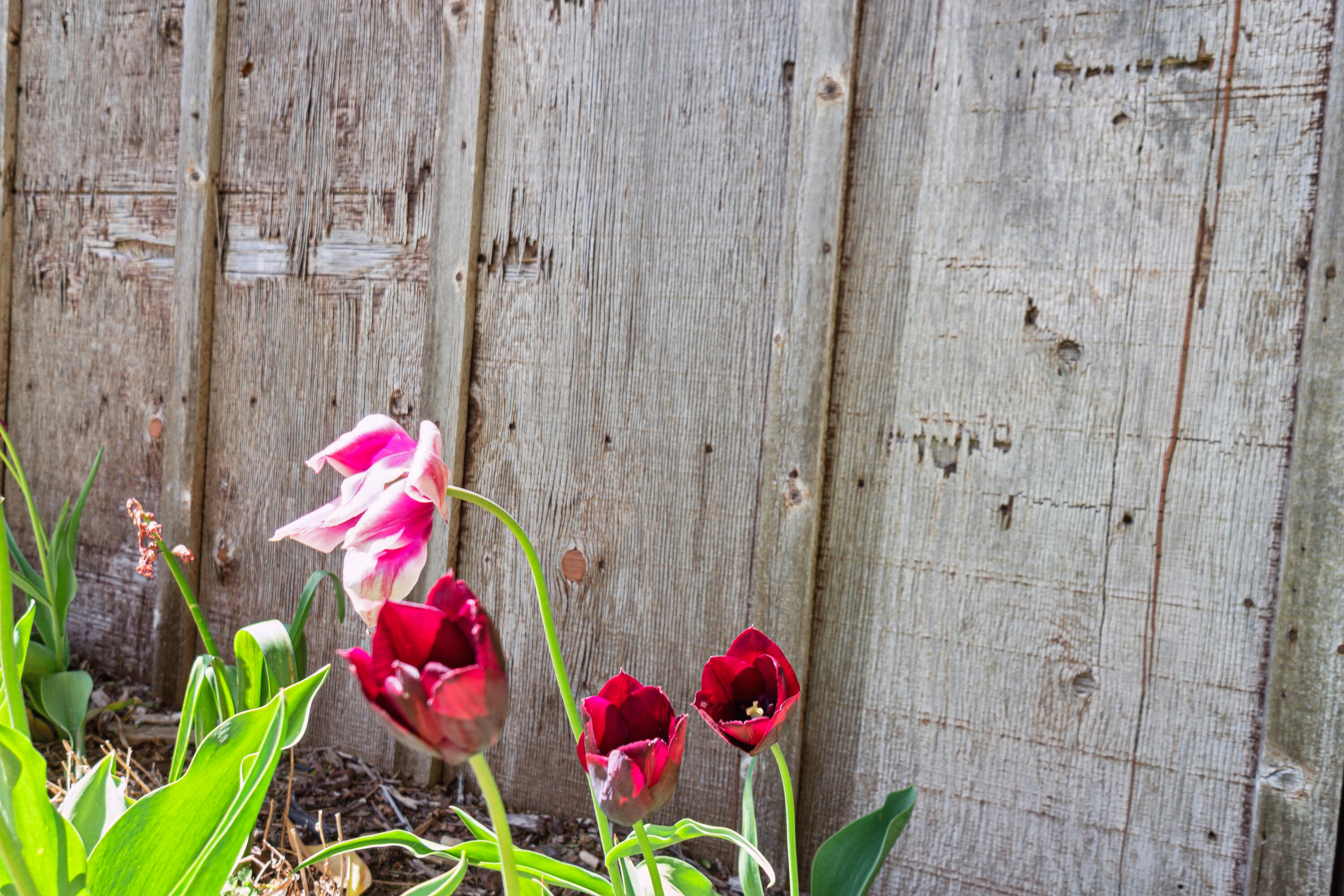 6372 Wildlife Road Addison, WI 53002 - Photo 26 of 36 15-6372-Wildlife-Rd-Allenton-WI-53002-Wi