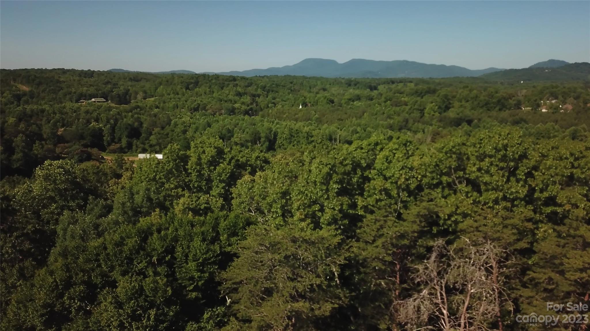 786 Fox Mountain Road Columbus, NC 28722 - Photo 6 of 16 Gallery Image 6