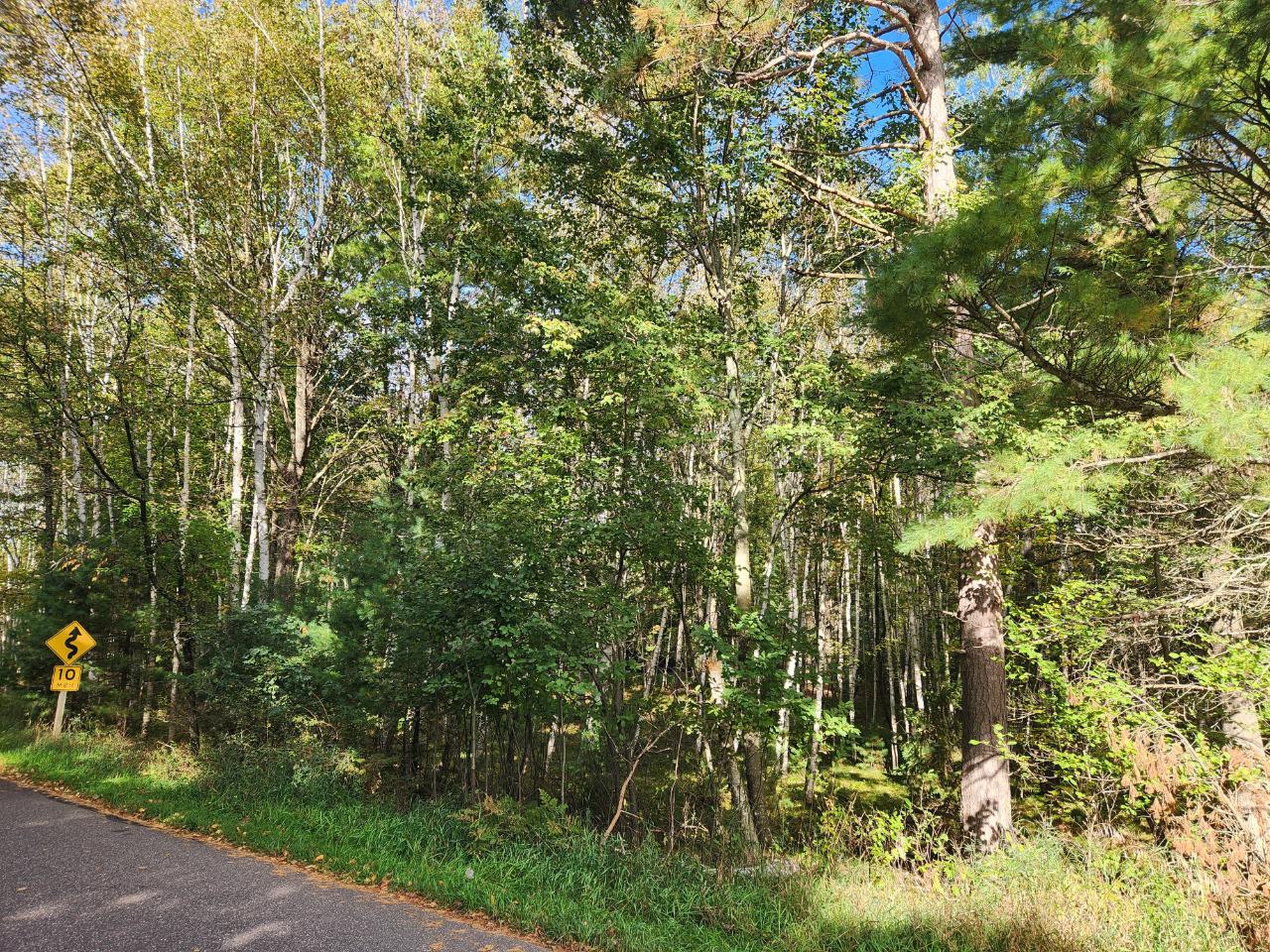 Lot 310 Deerwood Road Minocqua, WI 54548 - Photo 10 of 10 Gallery Image 10