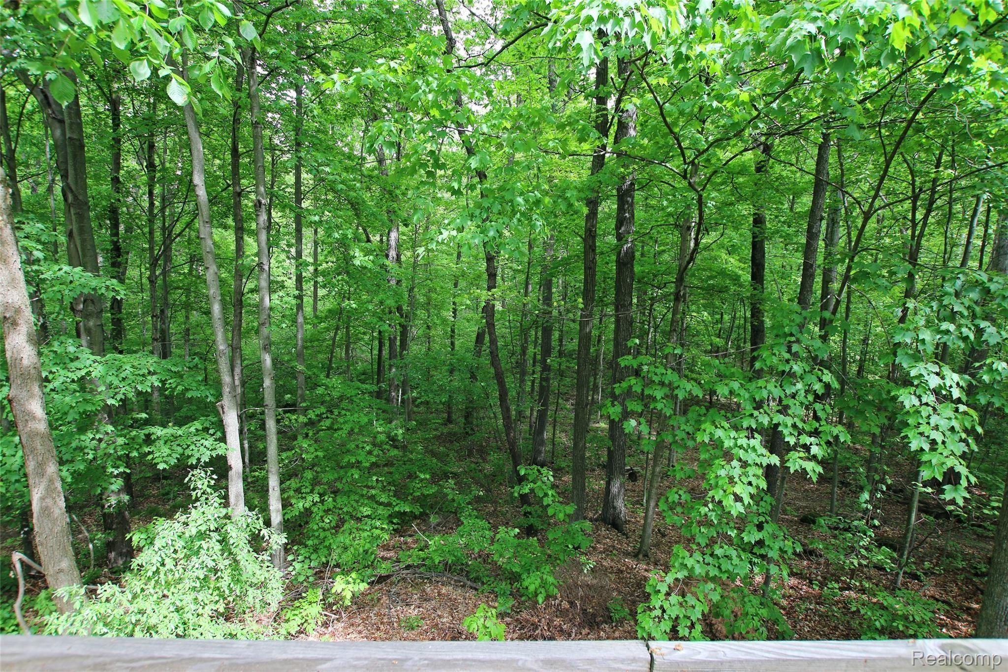 310 North Van Road Holly, MI 48442 - Photo 68 of 75 67) Backyard.jpg