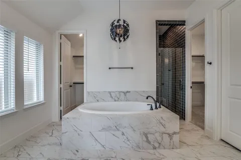 a bathroom with a bathtub and a shower