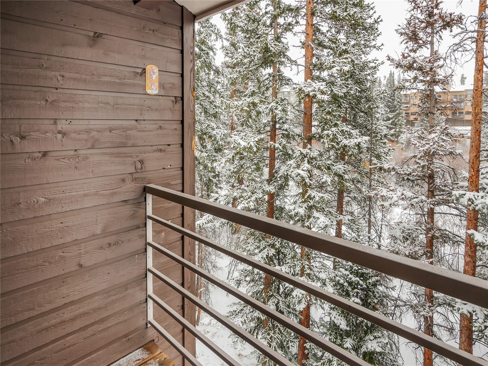 10000 Ryan Gulch Road, Unit 211 Silverthorne, CO 80498 - Photo 6 of 35 Gallery Image 6