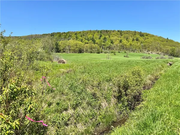 $85,000 | 463 Cemetery Road, Seward, NY 12043