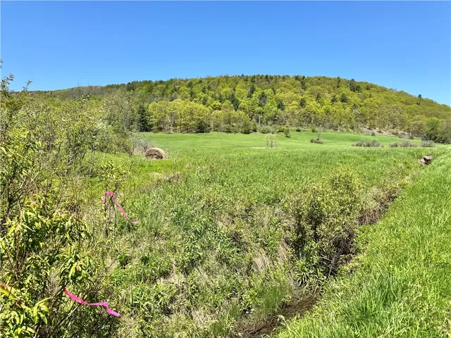 $85,000 | 463 Cemetery Road, Seward, NY 12043