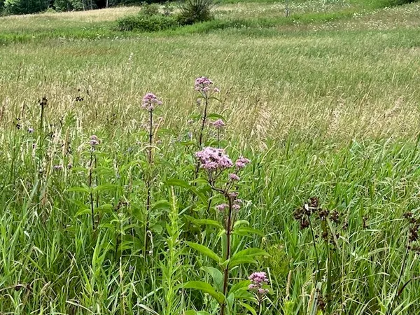 $85,000 | 463 Cemetery Road, Seward, NY 12043